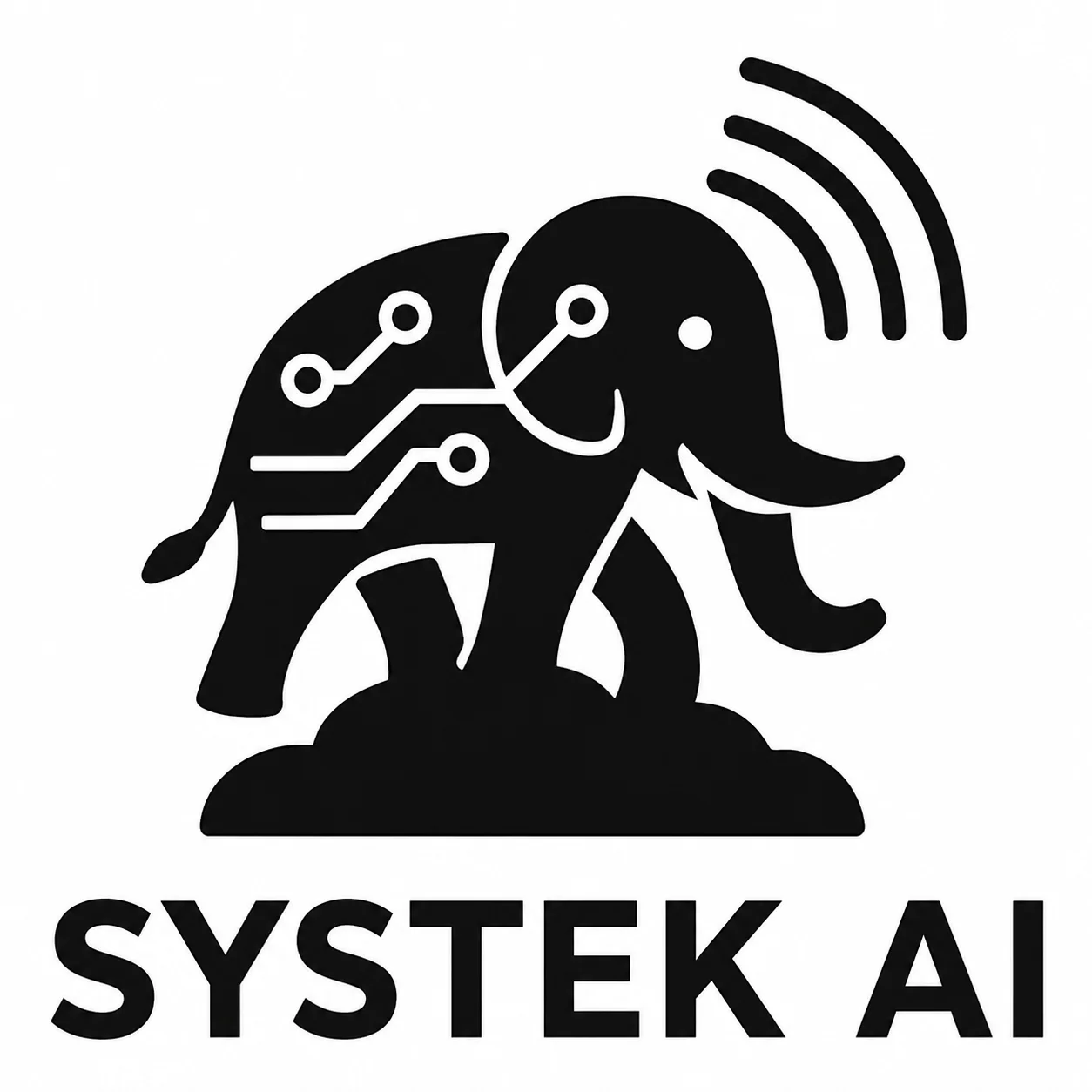 Systek Consulting Ivoire